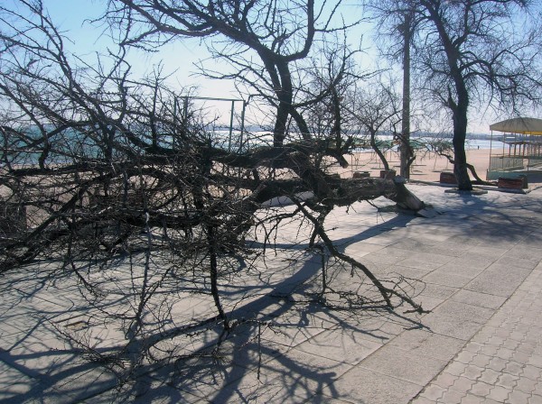 23 марта. Киев. Весна.