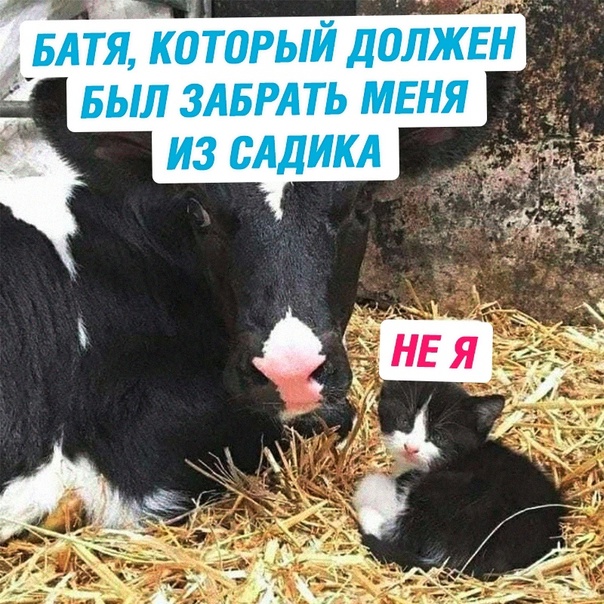 Весёлый полтишок 31.01.23