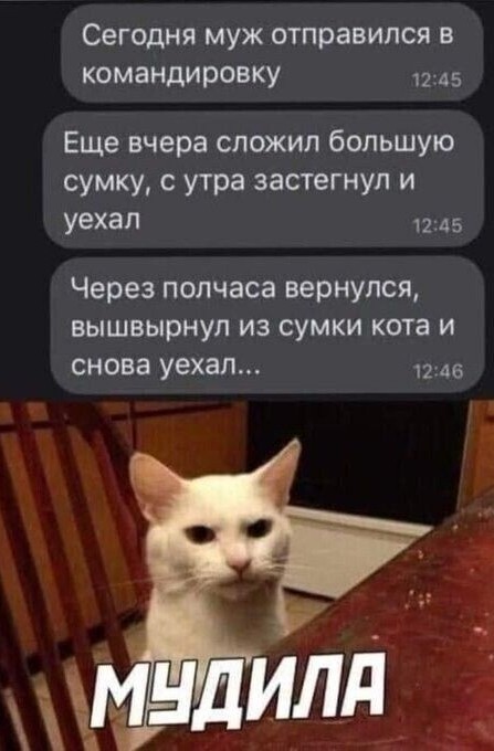 Подборка картинок 10.04.2023