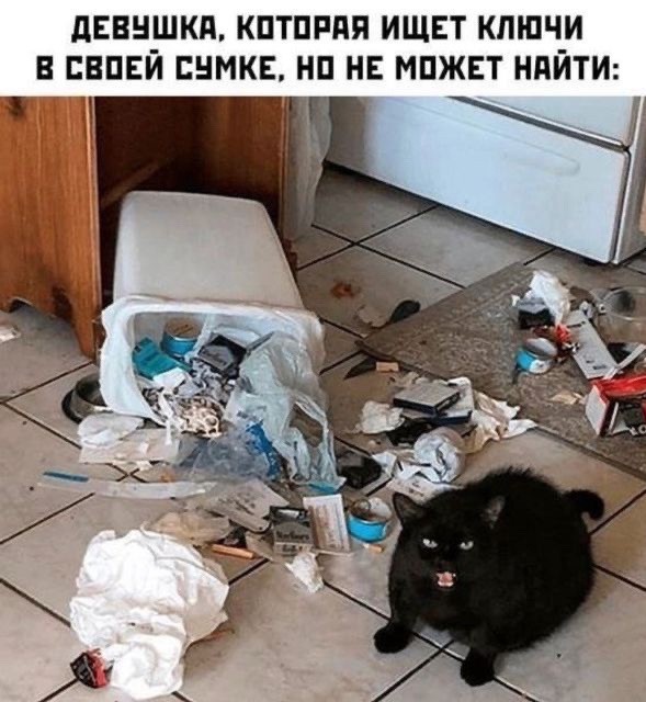 Всего понемногу.