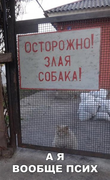 Так себе картинки 23.12.23
