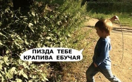 Игра "в войнушки" по-китайски в 2024-м