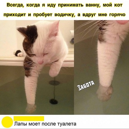 Все мужики одинаковые