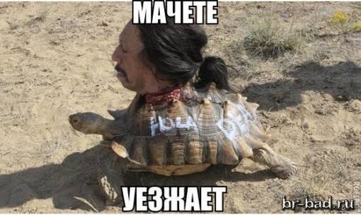 Деградильня