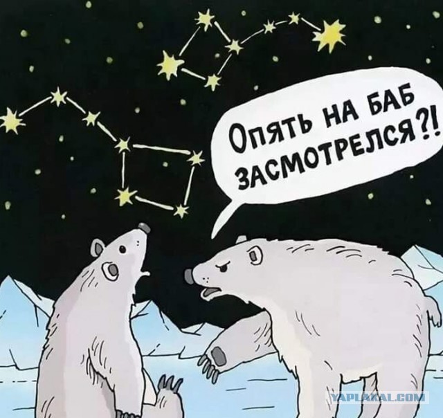 Так себе картинки 23.10.24