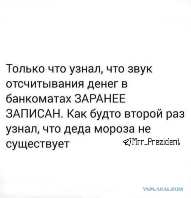Так себе картинки 25.11.24