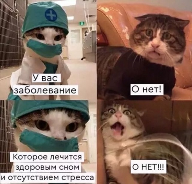 Завалялось тут случайно немного забавных картинок