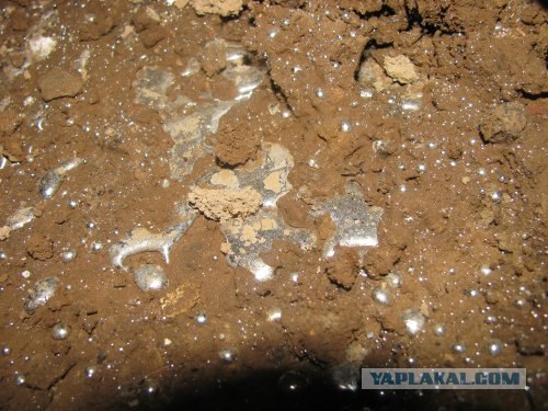 Второй "Чернобыль" в Киеве