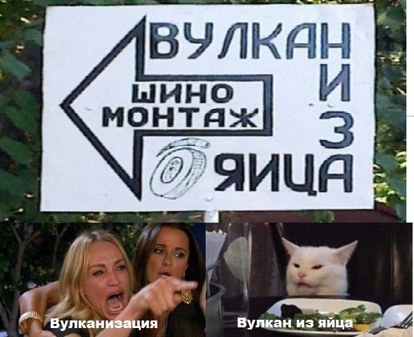 Знаменитый кот