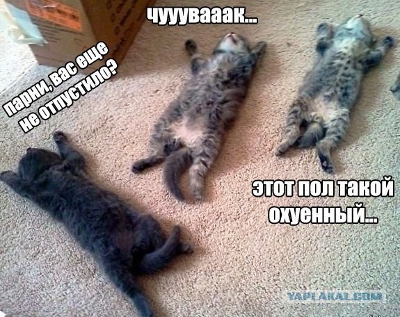 Есть чо еще?