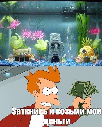 Веселое настроение в картинках (31.07.2025)
