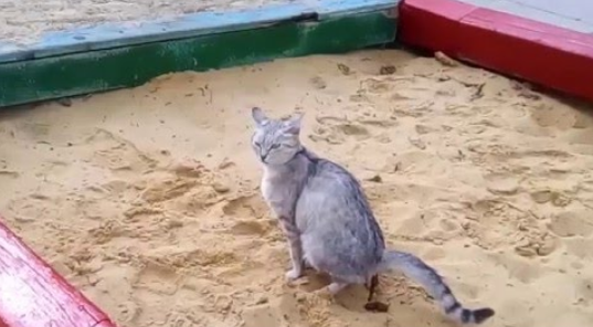 А там дети играют