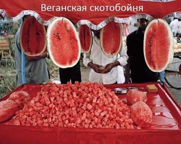 Люди, прогуливающие кладбище