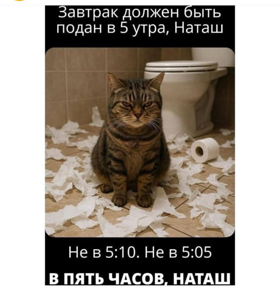 Немного картинок разной степени новизны и адекватности