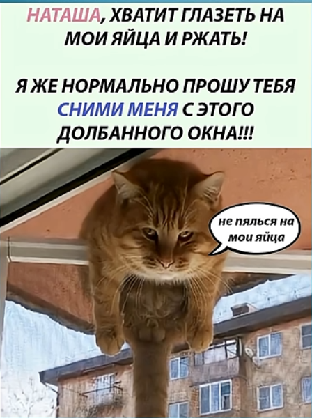 Картинки для деградации 132 (разной степени свежести)