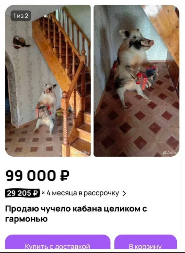Картинки для деградации 158 (разной степени свежести)
