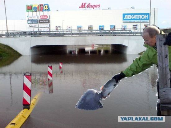 После дождичка в воскресенье
