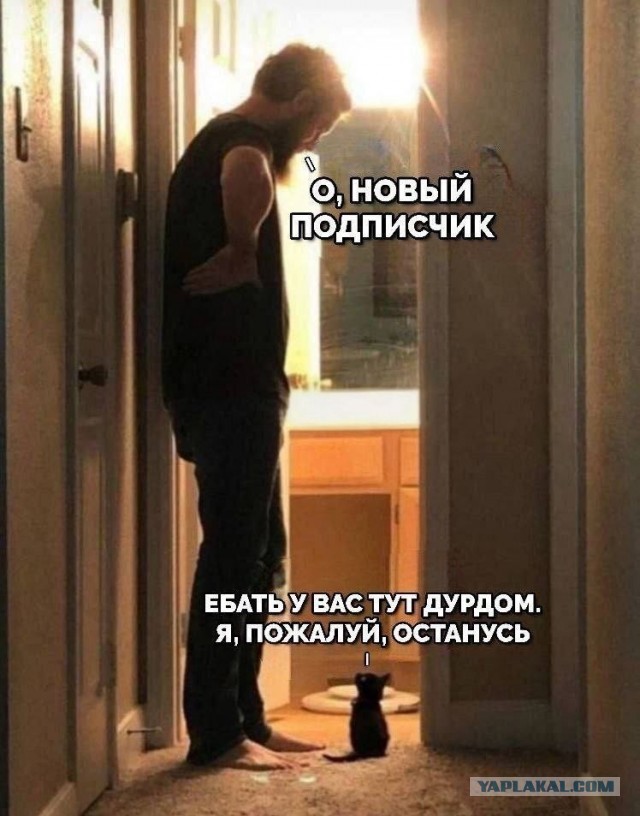 К котовторнику: подборка картинок-баянов с котиками и про котиков. Выпуск 44.
