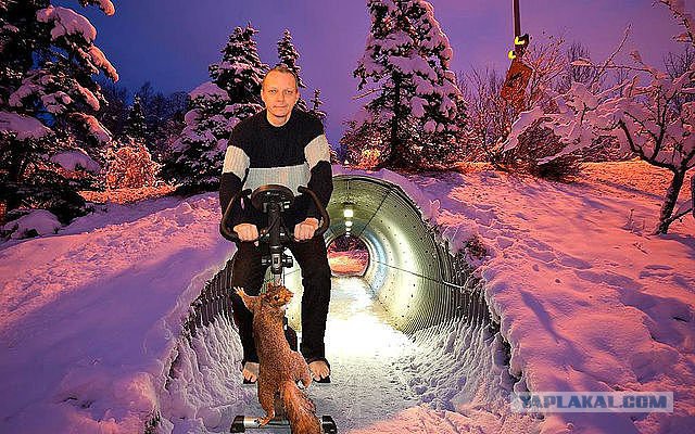 Немного упоротой эротики из соцсетей