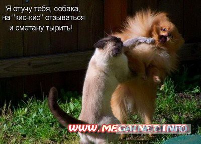 Чёрт, чёрт, чёрт!