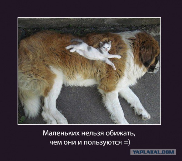 Демотиваторов пост, добавляйте свои