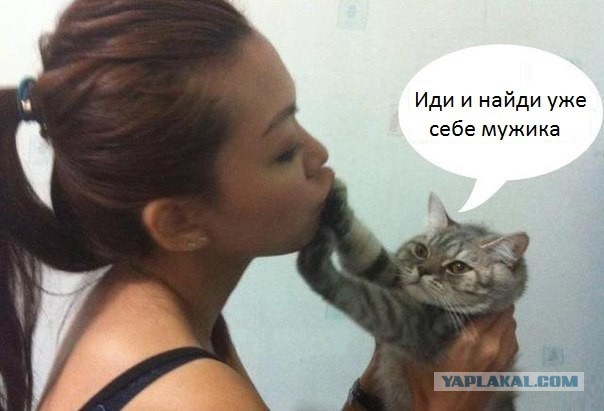 Чутка картинок