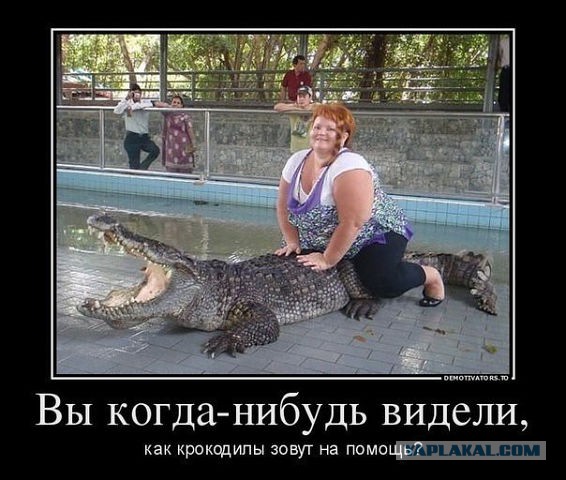 Демотиваторов пост, добавляйте свои