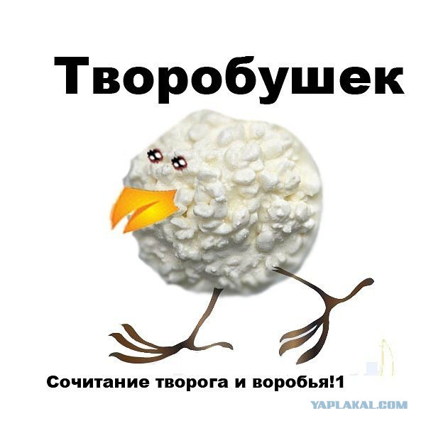 Весёлые картинки