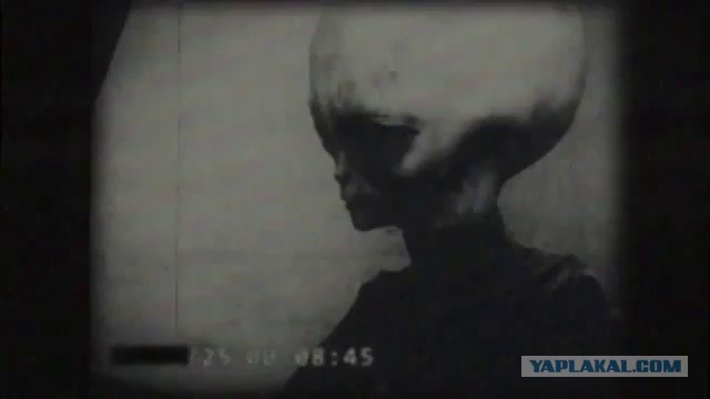 Что от нас скрывают?
