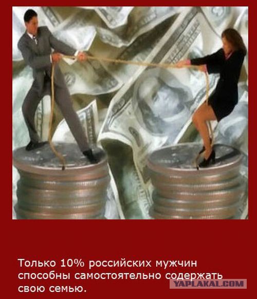 20 фактов обо всем