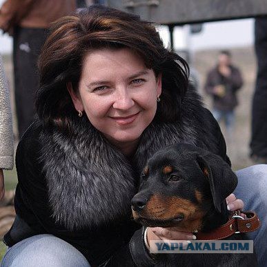 Моя мини-стая собак.