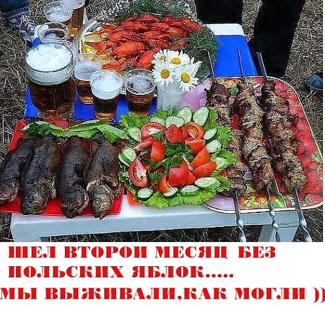 Вегетарианство