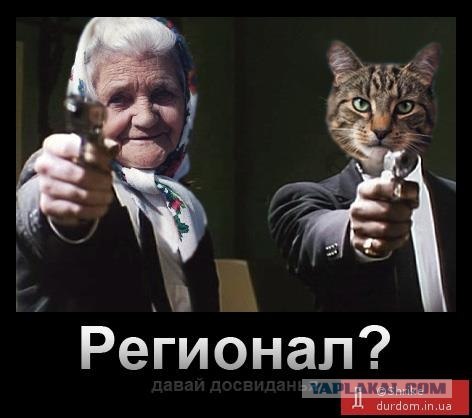 Предвыборный юмор по-украински (коте одобряет)