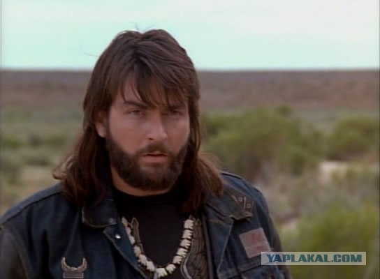 Самые известные копы голливудских фильмов