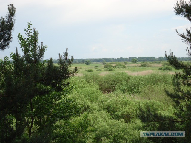 Киев - Чернигов на вело
