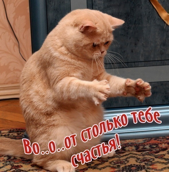 ЯП сила плиз помогите