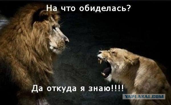 Прикольные фото и картинки