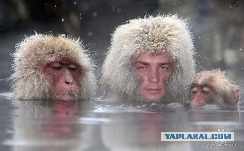 Наркоманский юмор