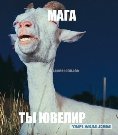 Мемы вспоминаем и добавляем....