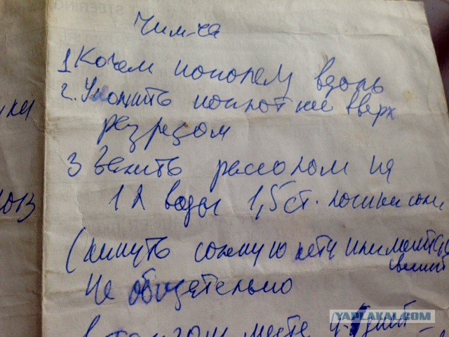 Пельмени типа "цзяоцзы"
