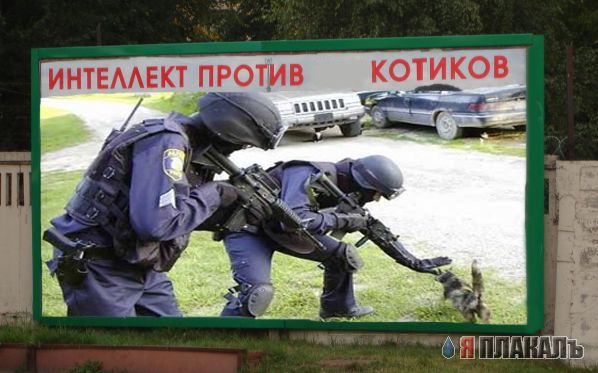 Фотожаба: Интеллект против наркотиков