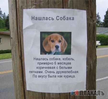 ОБЪЯВЛЕНИЯ. На стенах, в газетах, афиши.