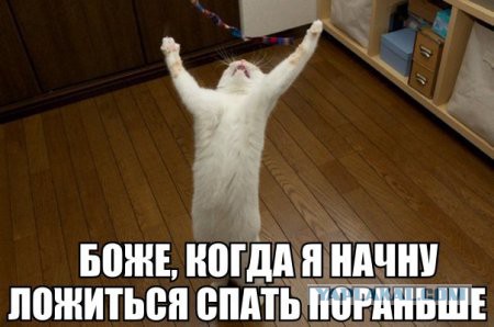 Абсурдный юмор ч.7