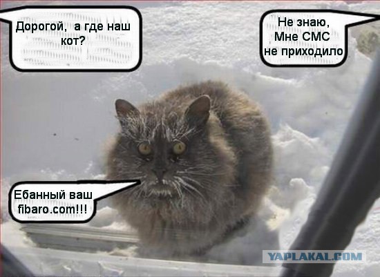 Как умный дом не дал коту замерзнуть.