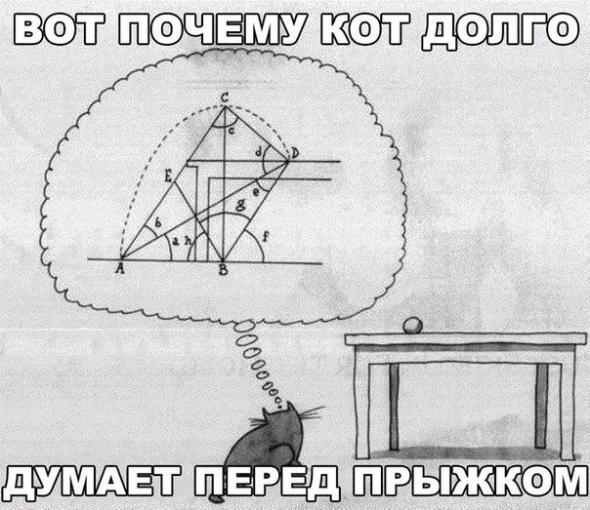Прикольные и не очень картинки из сети