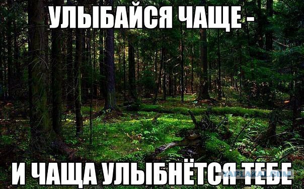 Картинки разные.