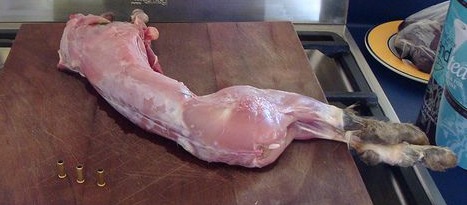Жена сфотала кошку, прям в раздумьях, кого-то она мне напоминает...