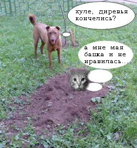 Фотожаба: да здесь где-то недалеко!