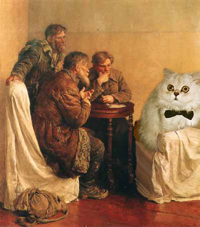Котовторник: лента прикольных котов на 05.02!