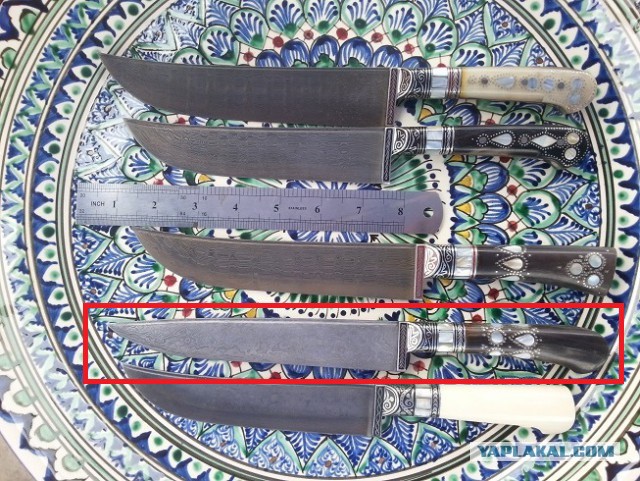 Продам Пчаки